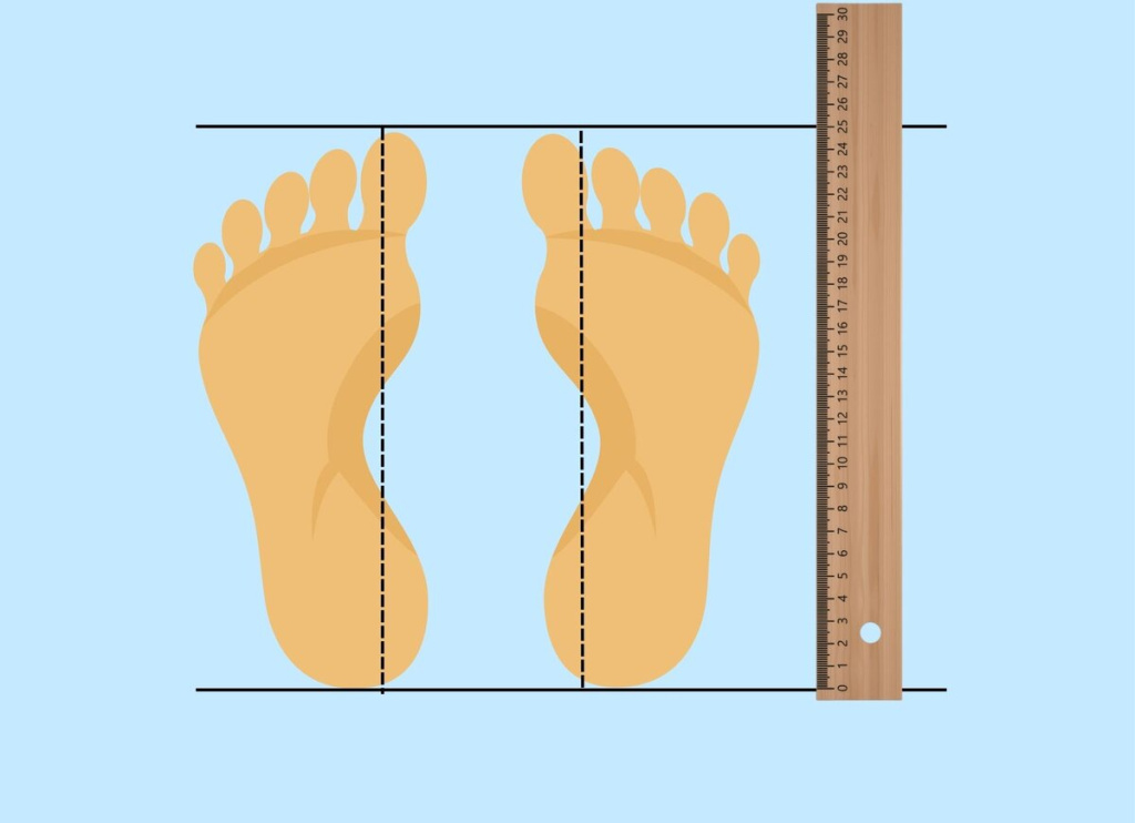 scale_1200.jpg